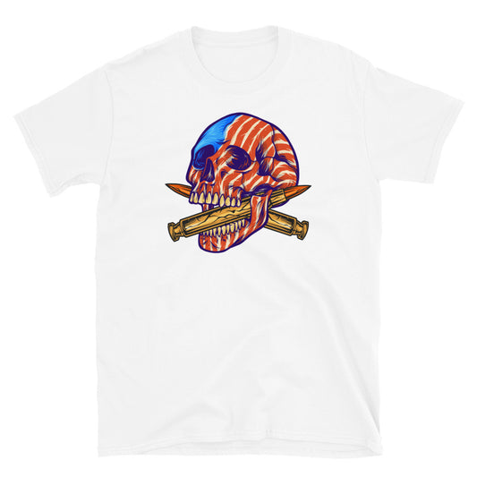 American flag skull head